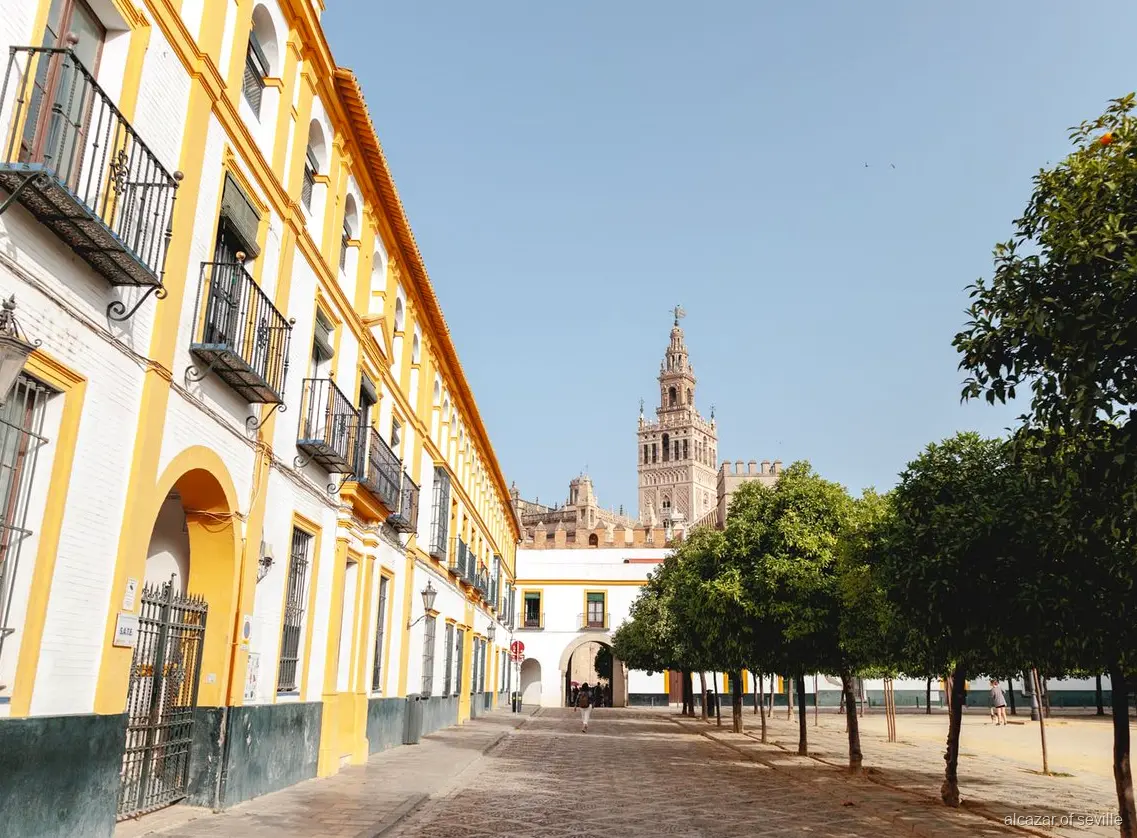 Acceso VIP anticipado al Alcázar de Sevilla, jardines antes del horario de apertura